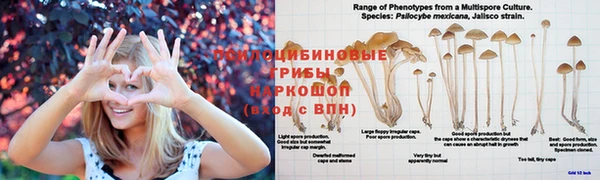 дживик Абдулино