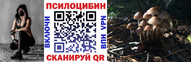 что такое наркотик  omg зеркало  Псилоцибиновые грибы GOLDEN TEACHER  Кирсанов 
