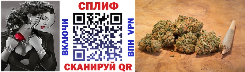 Шишки марихуана Amnesia  Кирсанов 
